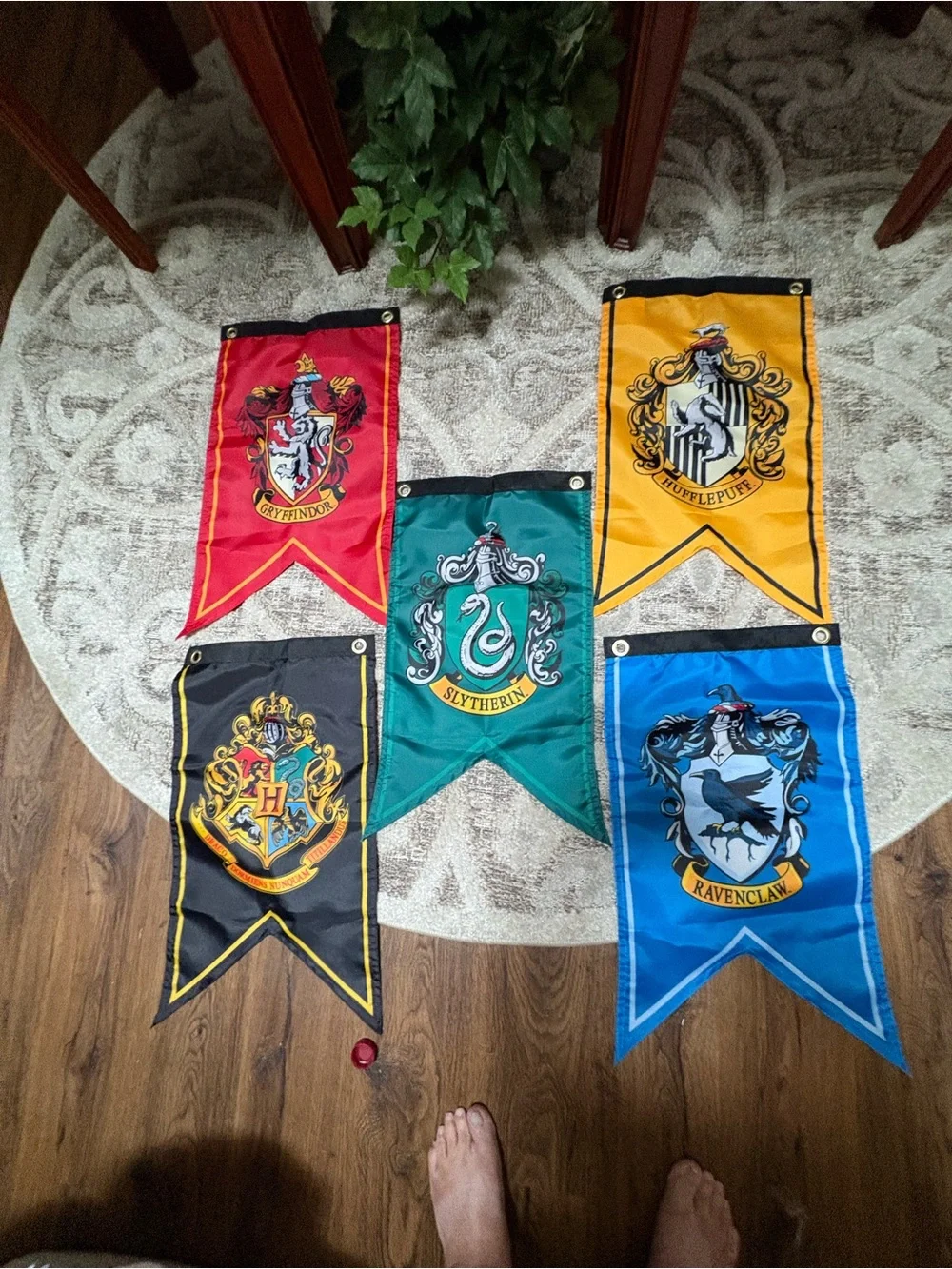 House Crest Banner Set - Red, Yellow, Green, Blue, Black - Party & Room Decor
